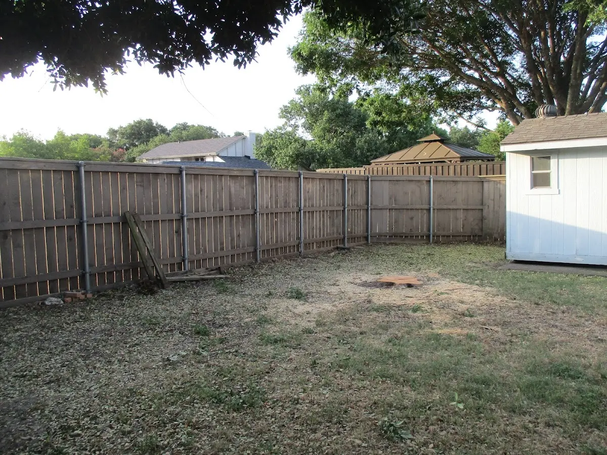Cleared yard after professional tree removal in Holly Ridge